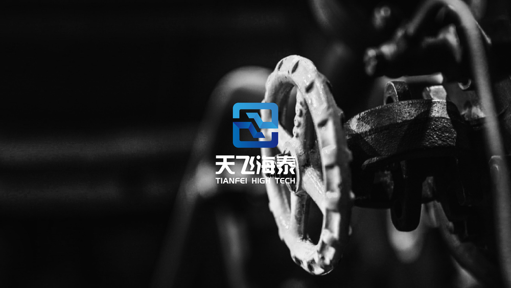 天飞海泰logo整理-01.jpg